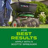 Scotts Turf Builder Rapid Grass Tall Fescue Grass Sun or Shade Grass Seed and Fertilizer 16 lb