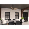 Hunter Burton 52 in. Bronze Indoor and Outdoor Ceiling Fan