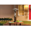 Living Accents Bronze Steel 10000 BTU Propane Tabletop Patio Heater 34 H x 20 W x 20 D in.