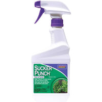 Bonide Ready to Use Water Based Sucker Punch Growth Regulator  Knock Out Sprouts 1 pt.