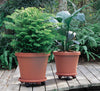 Bloem Terracotta Clay Resin Round Plant Caddy 3.6 H x 11.9 Dia. in. with Saucer