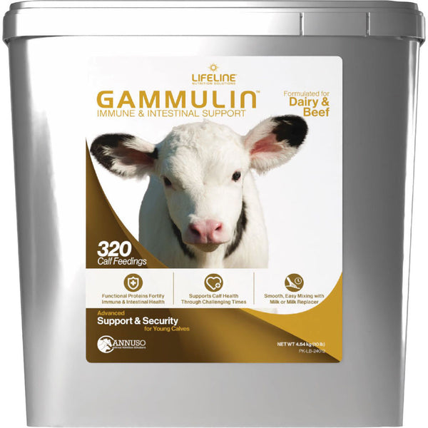 Suplemento proteico funcional Lifeline Gammulina