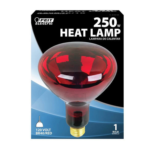 Feit Electric 250R40/10 250 Watt Red Heat Lamps (Pack of 12)