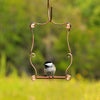 Perky-Pet 7.25 in. H X 5 in. W Hummingbird Swing