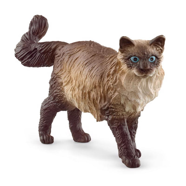 Schleich Ragdoll Cat Figurine Plastic Brown 1 pc (Pack of 5)