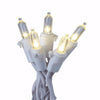 LED TWNK ICE WW5.5'100CT (A)