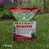 Jonathan Green Black Beauty Delmarva Mixed Sun or Shade Grass Seed 7 lb (Pack of 7)