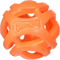 Chuckit! Breathe Right Fetch Ball