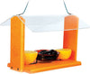 Audubon Going Green Deluxe Oriole Feeder Orange 12 in x 8.25 in x 8.2 in - Deal of The Week