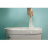 Paint Behind 1.5 in. W X 16 in. L White Nylon/Plastic Painters Tool