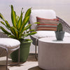 Bloem Living Green Resin Bell Ariana Planter 8.5 H x 10 Dia. in.