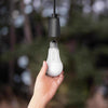 Feit A19 E26 (Medium) LED Dusk to Dawn Bulb Adjustable White 100 Watt Equivalence 1 pk