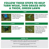Scott'S 30075b 40 Lb Turf Builder Thick'R Lawn Tall Fescue Mix 9-1-1