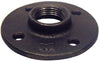 STZ Industries 2 in. FIP each Black Malleable Iron Floor Flange - Open Box