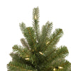Holiday Bright Lights 9 ft. Full LED 1000 ct Virginia Classic 1-2 Color Changing Christmas Tree