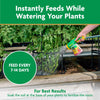 Miracle Gro 3003710 2 Lb Water Soluble Plant Food Vegetables & Herbs 18-18-21