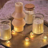 Celebrations LED Micro Dot/Fairy Clear/Warm White 20 ct Novelty Christmas Lights 6.2 ft. (Pack of 12)