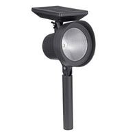 Sterno Home Black Solar Powered LED Spotlight 1 pk