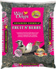 Wild Delight Fruit N Berry Wild Bird Food 5 lb