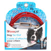 PDQ Red Tie-Out with Spring Vinyl Coated Cable Dog Tie Out Large