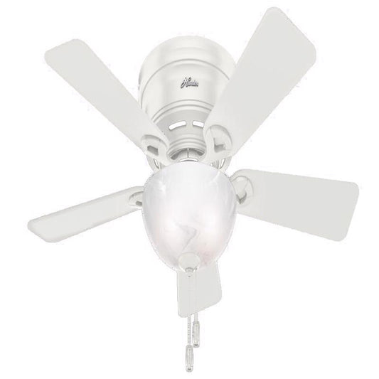 Hunter Haskell 42 in. White LED Indoor Ceiling Fan