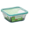Snapware Clear/Green Lock Top Container 4-Cups Capacity (Pack of 4 )