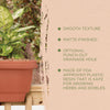 Bloem 24 in. H x 24 in. W Resin Deck rail Deck Rail Planter Terracotta Clay (Pack of 10) - Deal of The Week