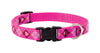 Lupine Pet Original Designs Multicolor Puppy Love Nylon Dog Adjustable Collar