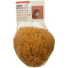 Armaly ProPlus Brown Natural Sponge Painting Sponge (Pack of 6).