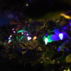Celebrations Platinum LED C6 Multicolored 50 ct String Christmas Lights 25 ft. (Pack of 12)