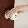 Safety 1st White Plastic Door Knob Covers 4 pk (Pack of 6)