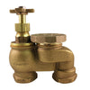 Champion Anti-Siphon Valve 3/4 in. 150 psi