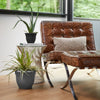 Bloem 10 in. Dia. Polyresin Ariana Planter Charcoal