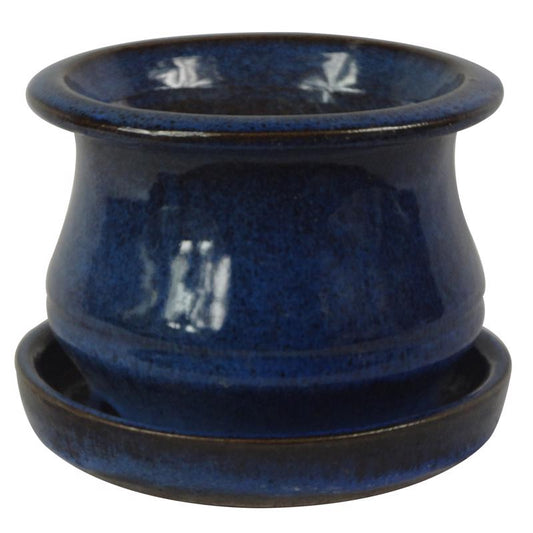 Trendspot 6 in. H x 6 in. W Ceramic Pot Blue (Pack of 2)