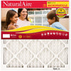 NaturalAire 20 in. W x 25 in. H x 1 in. D Synthetic 10 MERV Pleated Microparticle Air Filter (Pack of 6)
