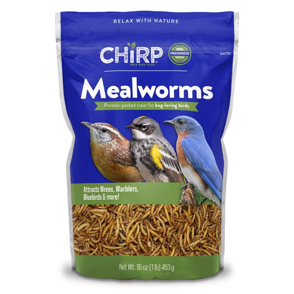 Gusanos de la harina Chirp, alimento para aves silvestres, 16 oz