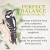Songbird Selections Perfect Balance with Peanuts Wild Bird Food 10 lb