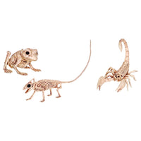 Seasons Assortment of Animal Skeletons Halloween Decoration 6 H x 22 W in. (Pack of 12)