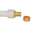 Apollo PEX-A 3/4 in. Expansion PEX in to T X 3/4 in. D Barb  Brass Coupling (Pack of 25)