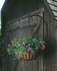 Panacea Black Powder Coated Iron Wall Mounting Curved Plant Hook 16 H x 1/4 W x 16 D in. - Deal of The Week