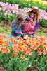 Bloem Earthly Yellow 56 oz. Plastic Aqua Rite Watering Can - Deal of The Week
