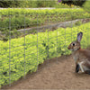 Garden Craft 28 in. H X 50 ft. L Galvanized Steel Welded Wire Fence