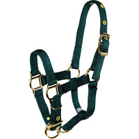 Hamilton Adjustable Miniature Horse Halter