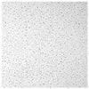 USG Ceilings Plateau 48 in. L X 23.88 in. W 0.5625 in. Square Edge Ceiling Tile 1 pk (Pack of 8)