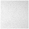 USG Ceilings Plateau 48 in. L X 23.88 in. W 0.5625 in. Square Edge Ceiling Tile 1 pk (Pack of 8)