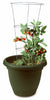 Panacea 33 in. H x 12 W Steel Tomato Cage (Pack of 25)