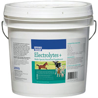Electrolytes Plus Multi-Species Supplement
