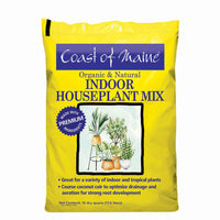 Indoor Houseplant Mix