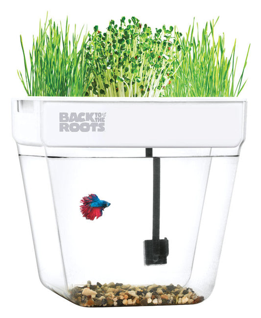 Back to the Roots All Season Assorted Flower and Herb Grow Kit 3 gal.