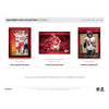 Panini Icon Collection Blaster Box Trading Cards